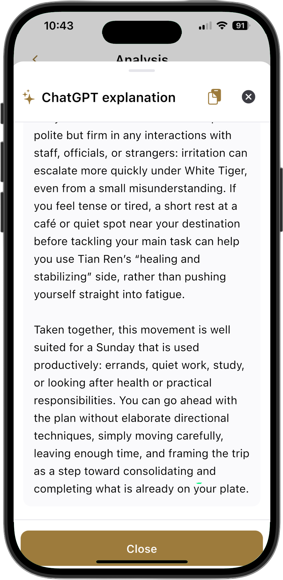 AI Interpretation Screen